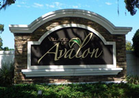 Spring Hill Communities, Villages of Avalon Real Estate, Villages of Avalon Homes For Sale