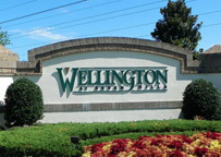 Spring Hill Communities, Wellington at Seven Hills Real Estate, Wellington at Seven Hills Homes For Sale